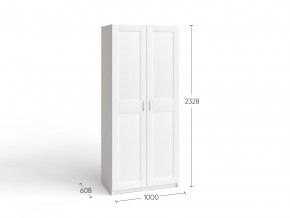 2.06.01.050.4 МАКС шкаф 2 двери 100х61х233 серый RU в Приобье - priobie.ok-mebel.com | фото 4