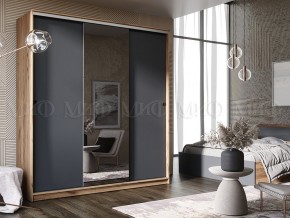 АЛЬЯНС Шкаф-купе (сандал светлый, графит) в Приобье - priobie.ok-mebel.com | фото 3