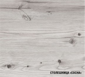 АСАЯ Кухонный гарнитур Экстра 2 (3000 мм) ПМ в Приобье - priobie.ok-mebel.com | фото 8