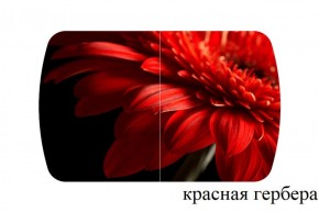 БОСТОН - 2 опоры Триумф в Приобье - priobie.ok-mebel.com | фото 50