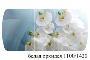 БОСТОН - 3 Стол раздвижной 1100/1420 опоры Триумф в Приобье - priobie.ok-mebel.com | фото 9