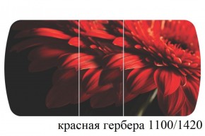 БОСТОН - 3 Стол раздвижной 1100/1420 опоры Триумф в Приобье - priobie.ok-mebel.com | фото 19