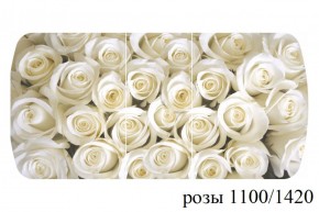 БОСТОН - 3 Стол раздвижной 1100/1420 опоры Триумф в Приобье - priobie.ok-mebel.com | фото 37