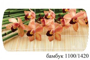 БОСТОН - 3 Стол раздвижной 1100/1420 опоры Триумф в Приобье - priobie.ok-mebel.com | фото 6