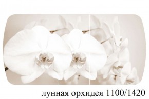 БОСТОН - 3 Стол раздвижной Лунная орхидея 1100/1420 опоры Триумф в Приобье - priobie.ok-mebel.com | фото 3