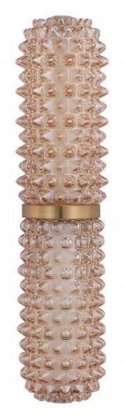 Бра ST-Luce SAGUARO SL6144.301.01 в Приобье - priobie.ok-mebel.com | фото 4