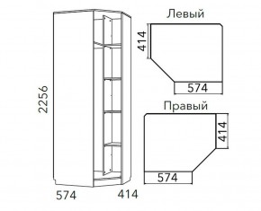 Детская Фанк Шкаф угловой Левый/Правый НМ 013.04-02 М в Приобье - priobie.ok-mebel.com | фото 3