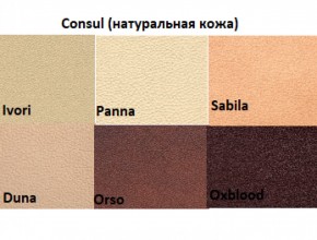 Диван двухместный Алекто Consul натуральная кожа в Приобье - priobie.ok-mebel.com | фото 5