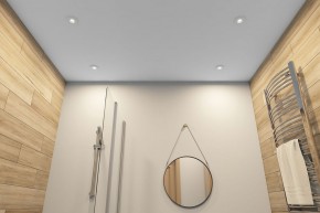 DK2036-WH Встраиваемый светильник влагозащ., IP 44, до 15 Вт, GU10, LED, белый, алюминий в Приобье - priobie.ok-mebel.com | фото 5