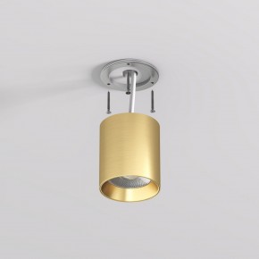 DK2610-SB Накладной светильник SHINE TUBE со светодиодом, D70*H80, IP20, 3000К, 10W, RA?90, сатинированная латунь, алюминий в Приобье - priobie.ok-mebel.com | фото 3