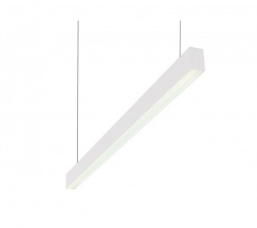 DK9124-WH Линейный светильник 30W 1250mm 4000K, белый в Приобье - priobie.ok-mebel.com | фото