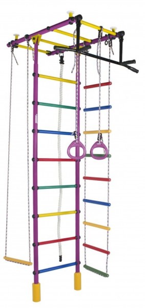 ДСК Атлант цв.фиолетовый радуга: турник, кольца, канат, трапеция, веревочная лестница в Приобье - priobie.ok-mebel.com | фото
