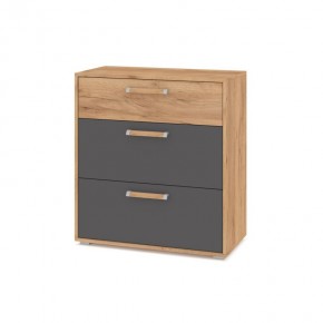 ФЛОРИДА Гостиная (модульная) дуб золотой/графит в Приобье - priobie.ok-mebel.com | фото 8