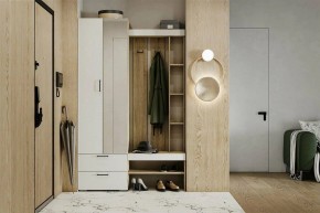 Гарнитур для прихожей Торонто в Приобье - priobie.ok-mebel.com | фото 5