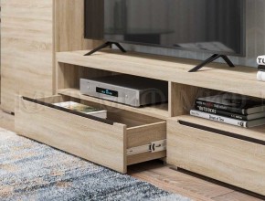ЭКОЛЬ Гостиная Вариант №3 МДФ (Дуб сонома) в Приобье - priobie.ok-mebel.com | фото 2