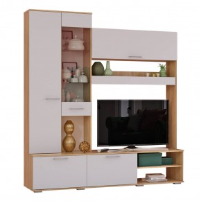 Гостиная Флай (ЦС-01/ШК-04) дуб сонома/белый в Приобье - priobie.ok-mebel.com | фото 3