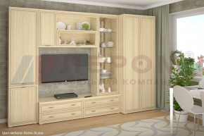 Гостиная Карина Композиция 16 (Ясень Асахи) в Приобье - priobie.ok-mebel.com | фото