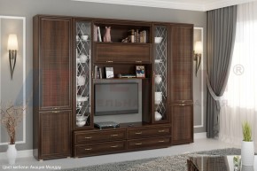 Гостиная Карина Композиция 19 (Акация Молдау) в Приобье - priobie.ok-mebel.com | фото 5