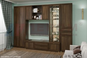 Гостиная Карина Композиция 21 (Акация Молдау) в Приобье - priobie.ok-mebel.com | фото