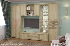 Гостиная Карина Композиция 21 (Гикори Джексон светлый) в Приобье - priobie.ok-mebel.com | фото 6