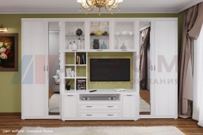 Гостиная Карина Композиция 6 (Снежный ясень) в Приобье - priobie.ok-mebel.com | фото