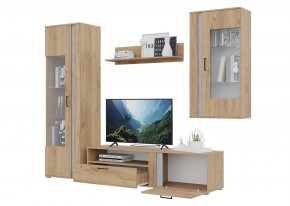 Гостиная Омега (Крафт золотой-Бетон) в Приобье - priobie.ok-mebel.com | фото 4
