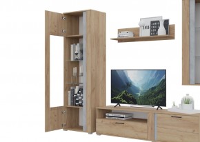 Гостиная Омега (Крафт золотой-Бетон) в Приобье - priobie.ok-mebel.com | фото 5