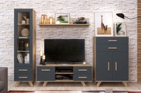 Гостиная Вега Скандинавия (комплект 7) в Приобье - priobie.ok-mebel.com | фото 2