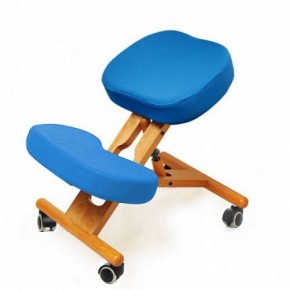 Коленный стул Smartstool KW02 + Чехлы в Приобье - priobie.ok-mebel.com | фото