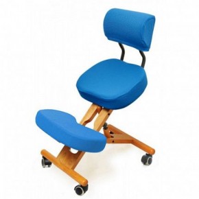 Коленный стул со спинкой Smartstool KW02В + Чехлы в Приобье - priobie.ok-mebel.com | фото 2