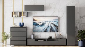 Комод Сибити в Приобье - priobie.ok-mebel.com | фото 5