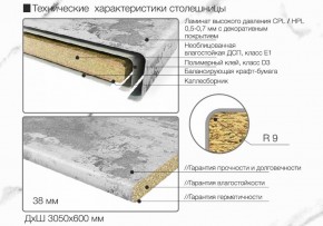 Кухонный фартук со столешницей (А-01) в едином стиле (3050 мм) в Приобье - priobie.ok-mebel.com | фото 6