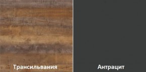 Кухонный гарнитур угловой Трансильвания 2600х1600 мм (Стол. 38 мм) в Приобье - priobie.ok-mebel.com | фото 3