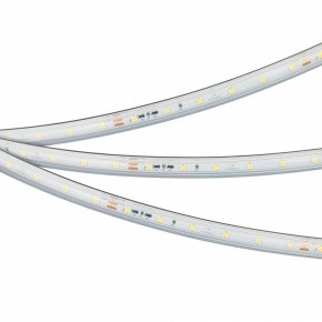 Лента светодиодная Arlight IC-PS-A60-10mm 24V 050656 в Приобье - priobie.ok-mebel.com | фото
