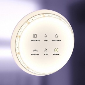Лента светодиодная Maytoni Led strip 10109 в Приобье - priobie.ok-mebel.com | фото 2