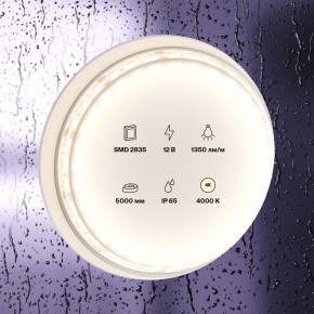Лента светодиодная Maytoni Led strip 10118 в Приобье - priobie.ok-mebel.com | фото 2