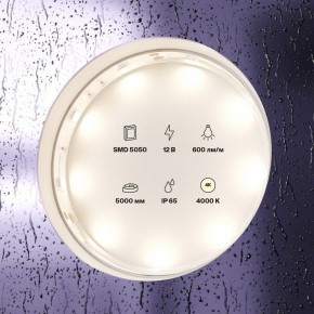 Лента светодиодная Maytoni Led strip 10124 в Приобье - priobie.ok-mebel.com | фото 3