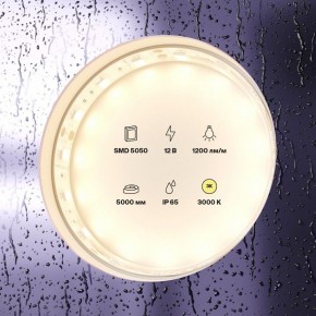 Лента светодиодная Maytoni Led strip 10131 в Приобье - priobie.ok-mebel.com | фото 2