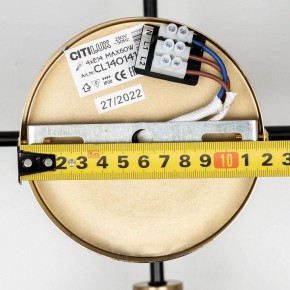 Люстра на штанге Citilux Бертон CL140141 в Приобье - priobie.ok-mebel.com | фото 13