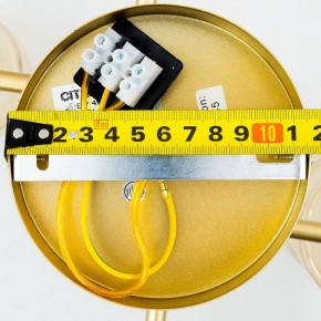 Люстра на штанге Citilux Клод CL137182 в Приобье - priobie.ok-mebel.com | фото 16