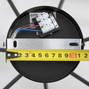 Люстра на штанге Citilux Стивен CL141271 в Приобье - priobie.ok-mebel.com | фото 13