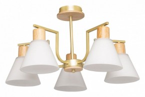 Люстра на штанге De City Дэла 45 635016505 в Приобье - priobie.ok-mebel.com | фото