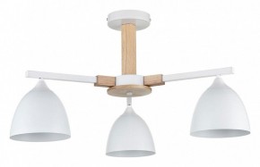 Люстра на штанге Lumion Colange 8095/3C в Приобье - priobie.ok-mebel.com | фото