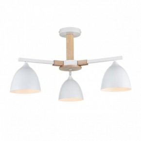 Люстра на штанге Lumion Colange 8095/3C в Приобье - priobie.ok-mebel.com | фото 2