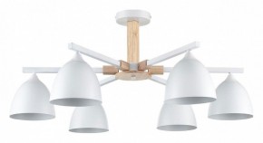 Люстра на штанге Lumion Colange 8095/6C в Приобье - priobie.ok-mebel.com | фото