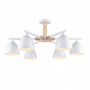 Люстра на штанге Lumion Colange 8095/6C в Приобье - priobie.ok-mebel.com | фото 2