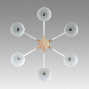 Люстра на штанге Lumion Colange 8095/6C в Приобье - priobie.ok-mebel.com | фото 4