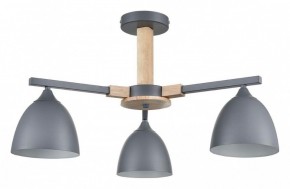 Люстра на штанге Lumion Colange 8096/3C в Приобье - priobie.ok-mebel.com | фото