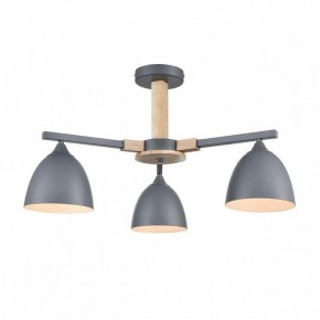 Люстра на штанге Lumion Colange 8096/3C в Приобье - priobie.ok-mebel.com | фото 2