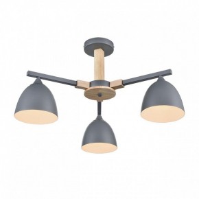 Люстра на штанге Lumion Colange 8096/3C в Приобье - priobie.ok-mebel.com | фото 3